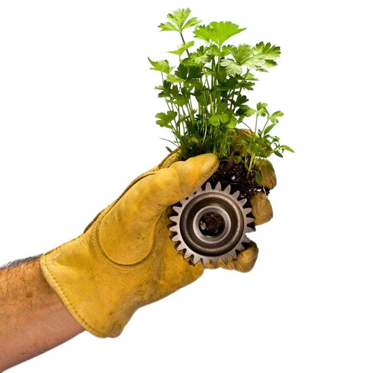 Kiên Thành Tín - doanh nghiệp từ sự tử tế