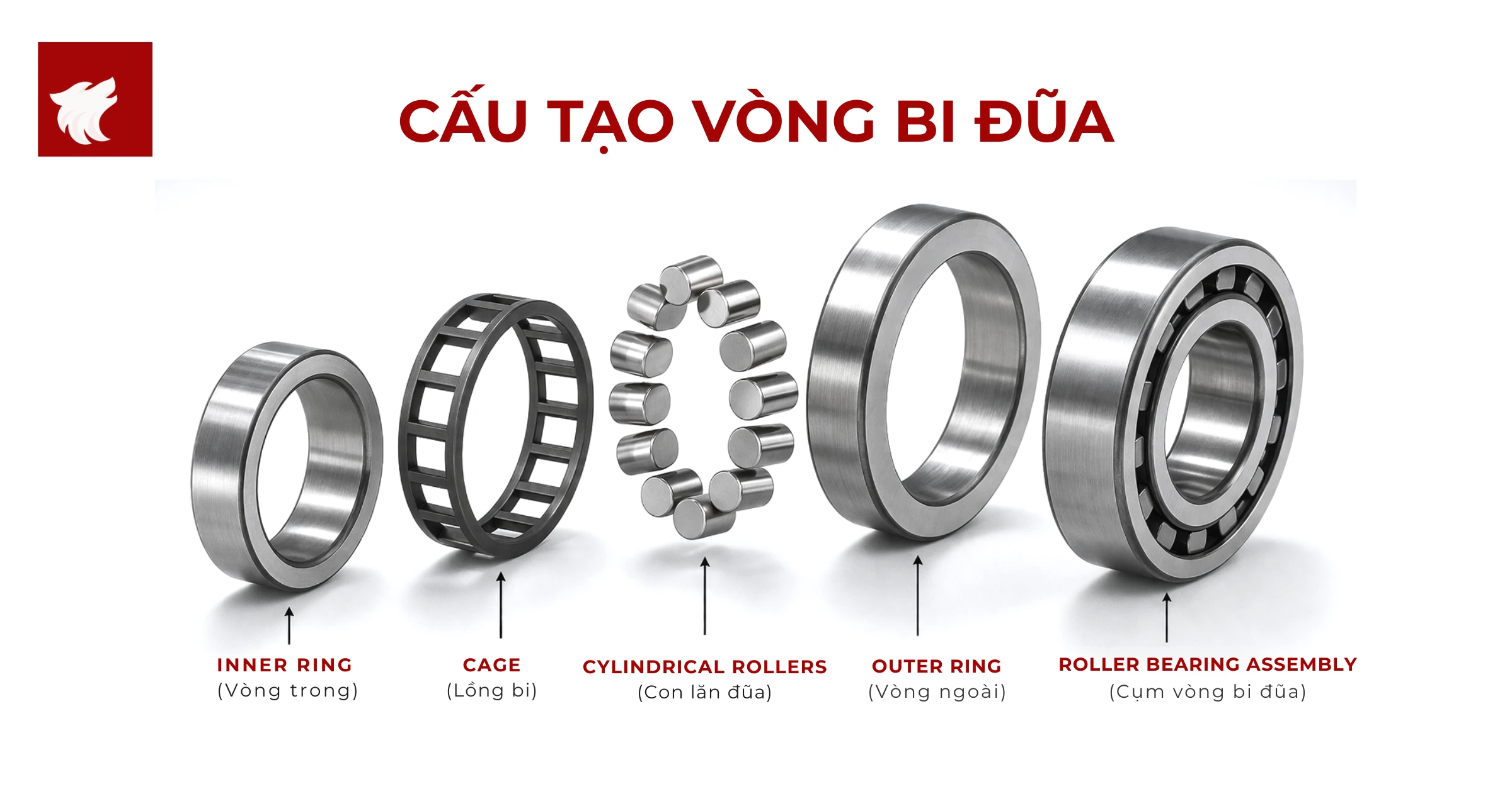 Cấu tạo vòng bi đũa