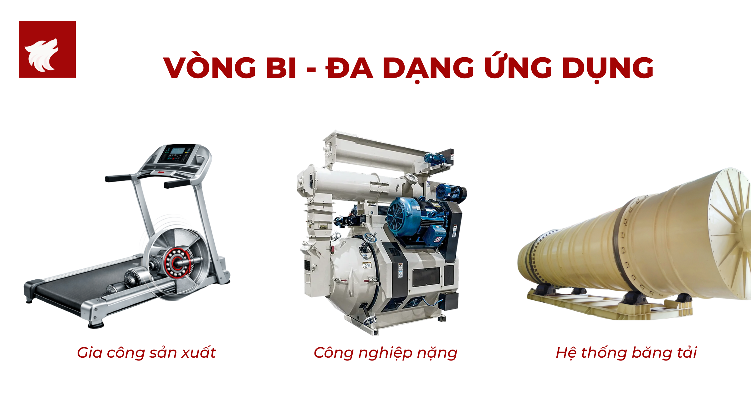 Đa dạng ứng dụng