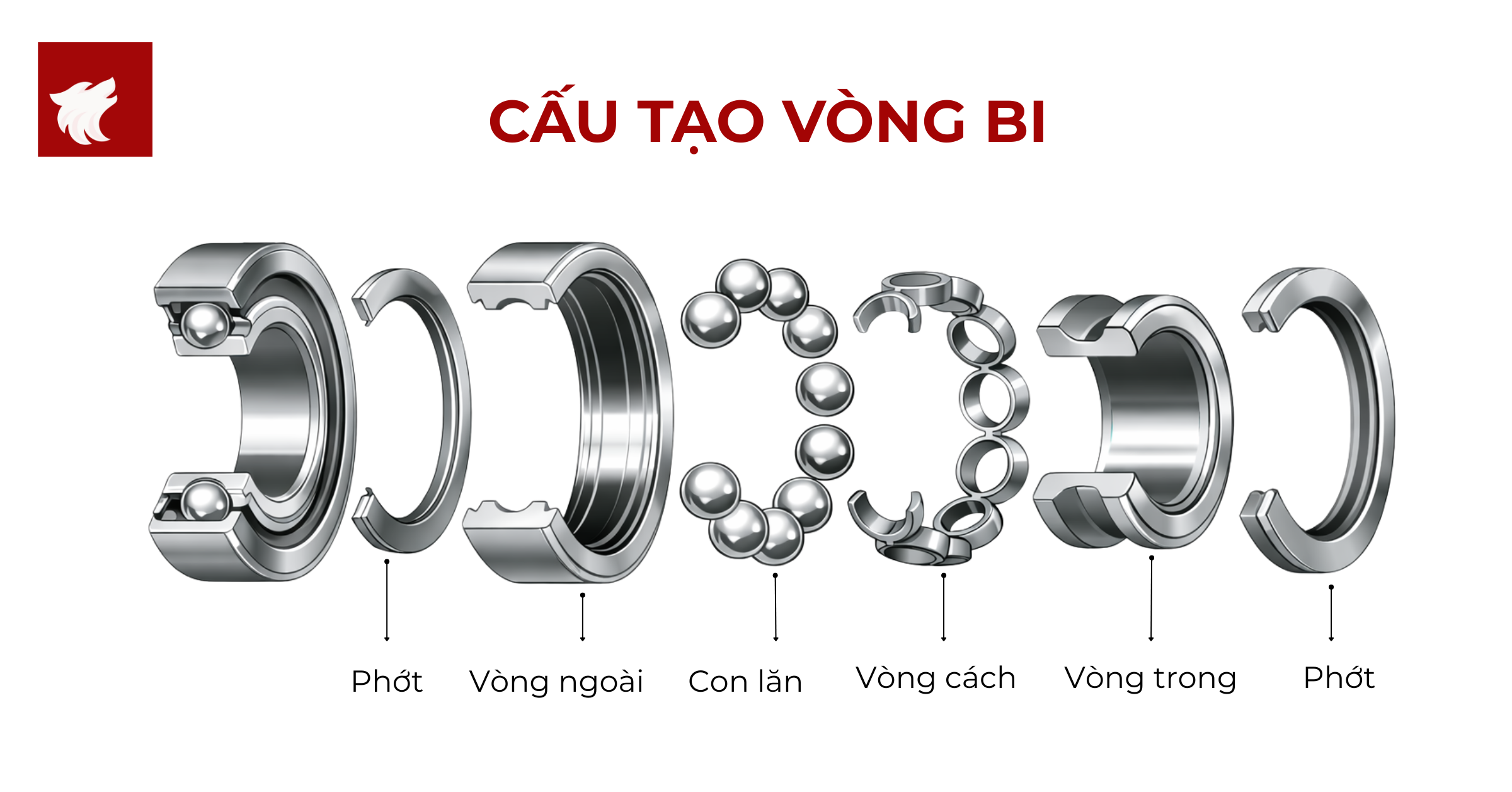 Cấu tạo vòng bi