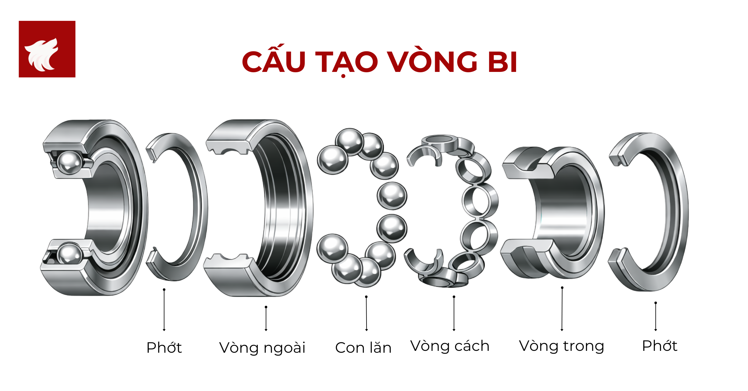Cấu tạo vòng bi