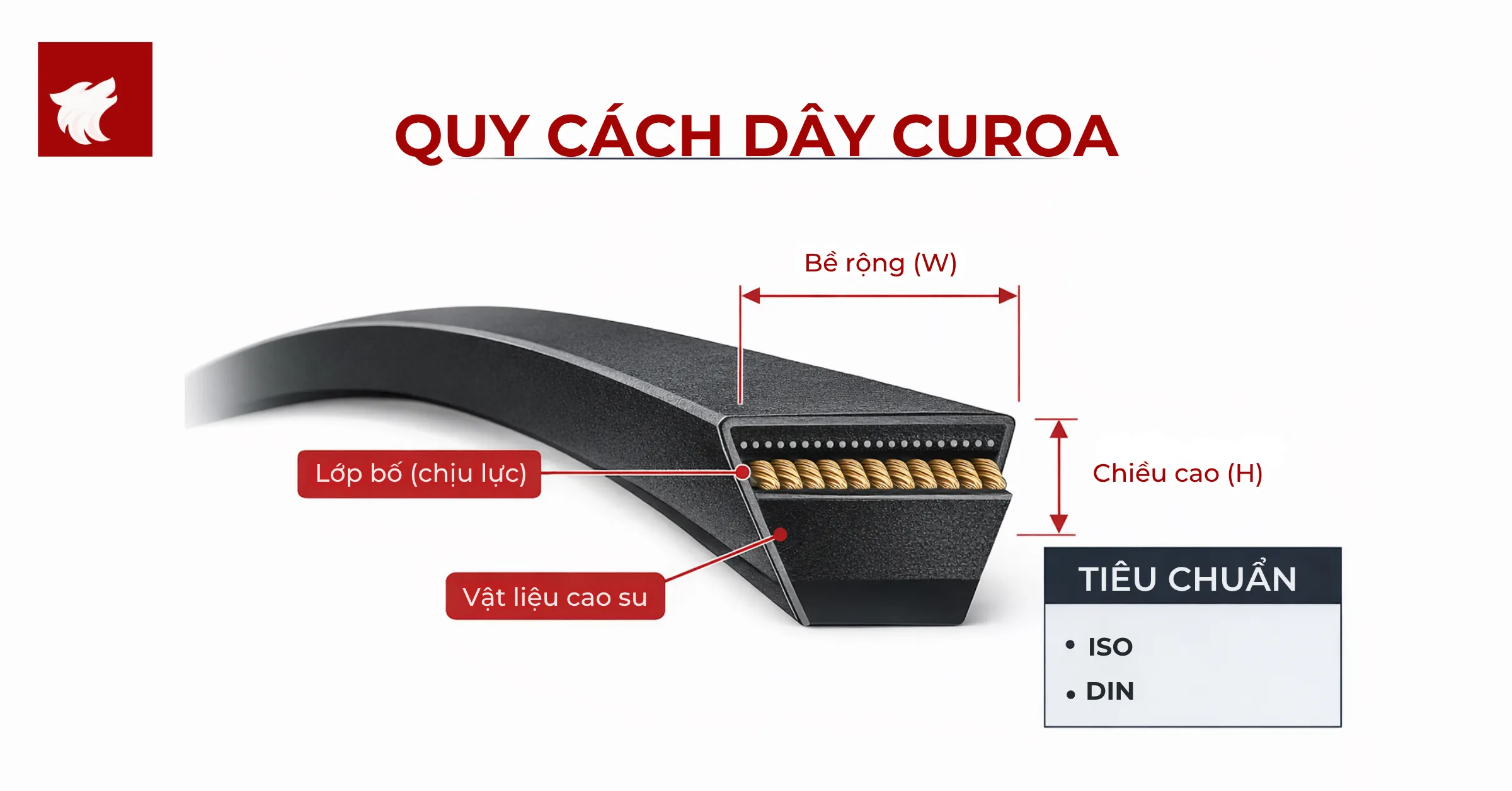 Quy cách dây curoa