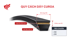 quy cách dây curoa